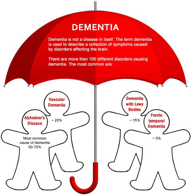 Dementia vs Alzheimer’s 